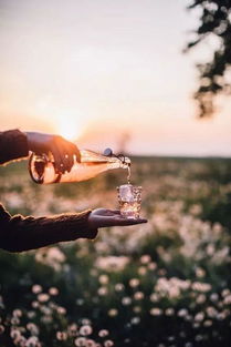 如何挽回友情的语句,如何修复破裂的友谊