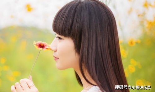 挽回爱人心的诗句,挽回心爱情，深情诉衷肠