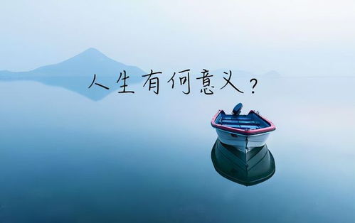 挽回人生的东西,重振人生：如何化挫为胜