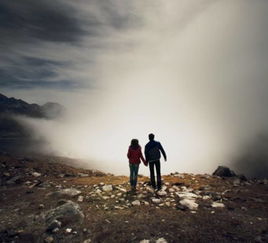 努力过不后悔挽回,努力挽回，无怨无悔