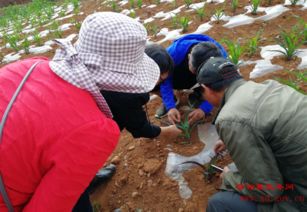 干旱怎么挽回完整视频,如何纾解干旱危机