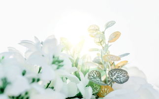 复合挽回要答应吗,复合挽回，你是否愿意答应？