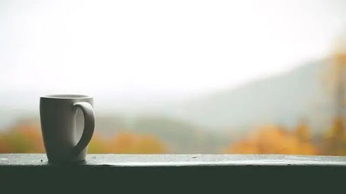 女人说晚了怎么挽回,晚归怎么道歉？-