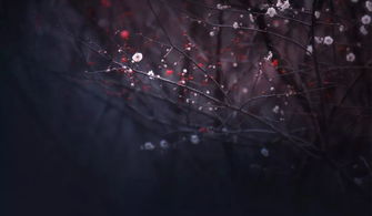 射手分手会挽回嘛,挽回分手的射手男女，有希望吗？