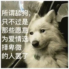 当了舔狗如何挽回,当了舔狗后如何收拾残局
