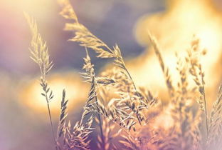 友谊褪色无法挽回,情谊已逝，挽回难如登天