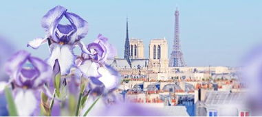 魔法复合仪式恋爱挽回,魔法复合：情感挽回新策略