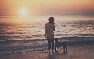 劈腿男友如何挽回,如何挽回劈腿男友