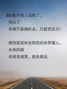 有些过错永远没法挽回,挽回无望：因错误而失去的机会