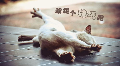 回头挽回的生肖,如何用正确的方法回头挽回生肖