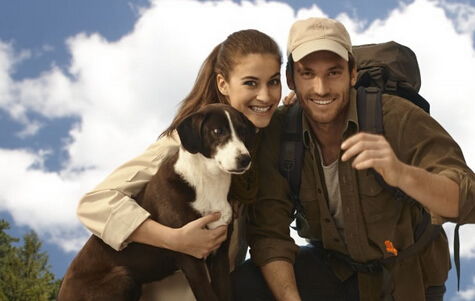 怎样让狮子男挽回,狮子男如何挽回？