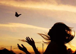 歌词挽回的时间never,从未晚的挽回时光