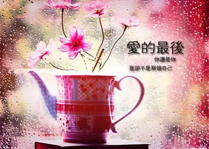 怎样说才能挽回爱人,顺其自然，重获爱人