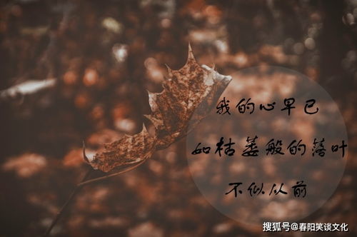 如何挽回心凉的人,如何重新点亮失落的心