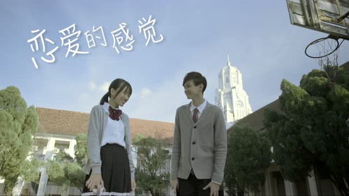 挽回仪式怎么样,如何进行挽回仪式