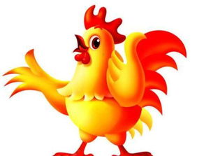 如何挽回属鸡的女人,挽回属鸡女的小妙招