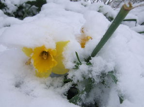 能挽回感情诗句,用情感诗挽回爱情