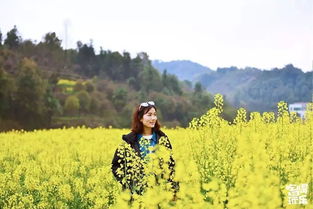 花镇还是再挽回,重振花镇