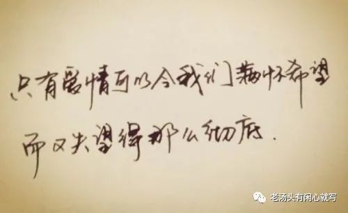 坚持挽回文案短句,「坚持挽回，化解危机  7个步骤保全爱情」 → 「7步保全爱情，坚守挽回化解危机」