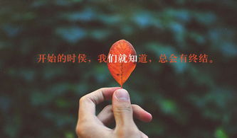 错误挽回感情文案爱情,挽回感情的正确方法，让爱重回你我心间