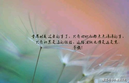 错过的人挽回的句子,相遇错过，再错过，你确定不后悔？