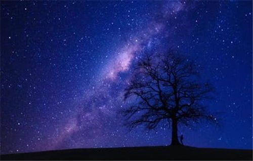 白羊天蝎复合挽回方法，如何成功挽回白羊和天蝎的复合，实用方法大公开