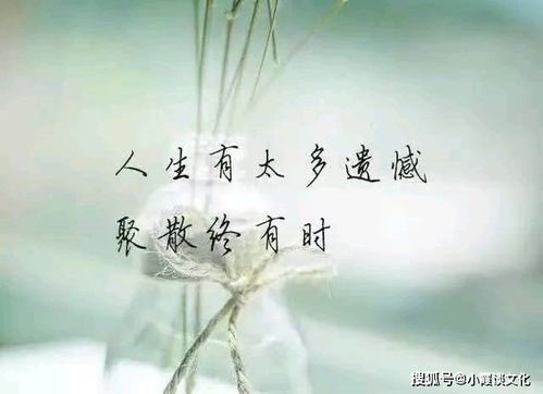 断联怎么挽回你,断联后如何挽回，取回彼此的心