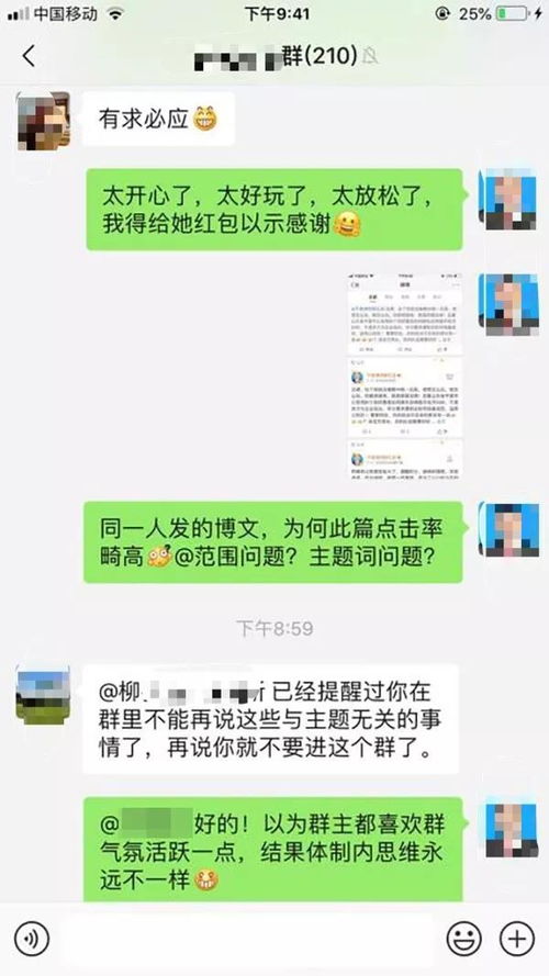 复婚挽回聊天记录,复婚聊天记录揭示挽回真谛