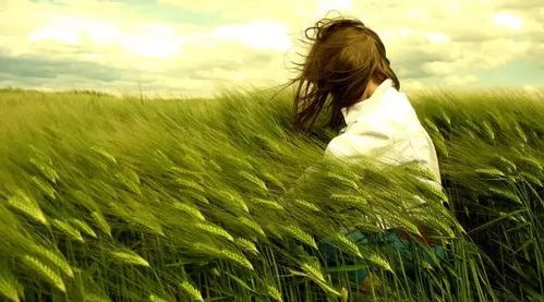 挽回女人的话精辟,如何用言语挽回女人的心