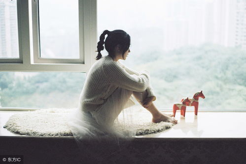 挽回的旧爱小说,失去暂别，重拾初心