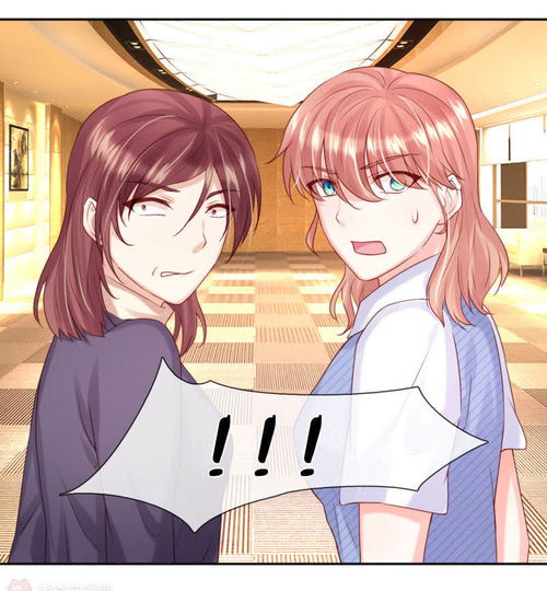 总裁能否挽回小娇妻,能否重振婚姻？总裁人设在线！