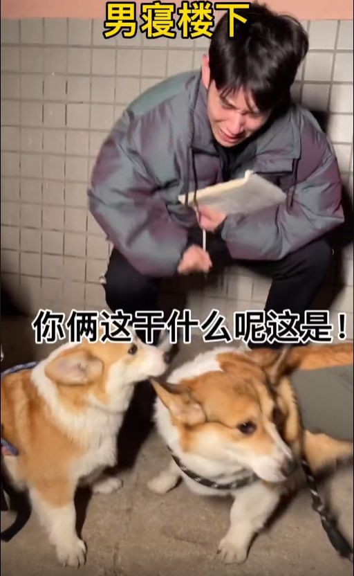 怎样挽回舔狗局面,破局脱单：有效挽回舔狗身份