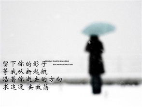 无法挽回朋友,失去的友谊无法恢复