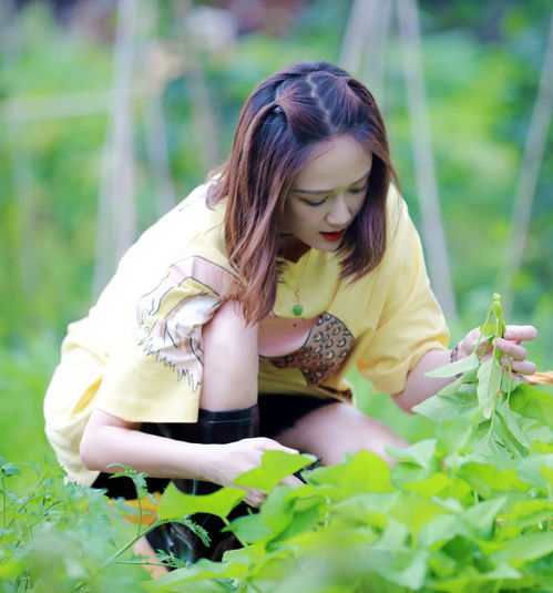 女友上节目挽回男友,女友参加节目，感情重回巅峰
