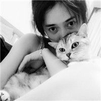 对方厌恶自己怎么挽回,如何挽回被厌恶的人？