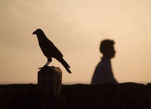 对家人失望了怎么挽回，失去家人信任，如何做出改变？