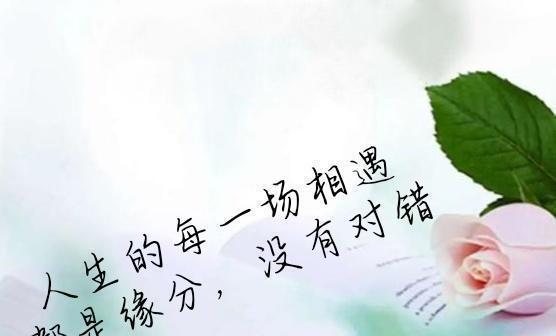 心已死无挽回,重修旧好已不可能