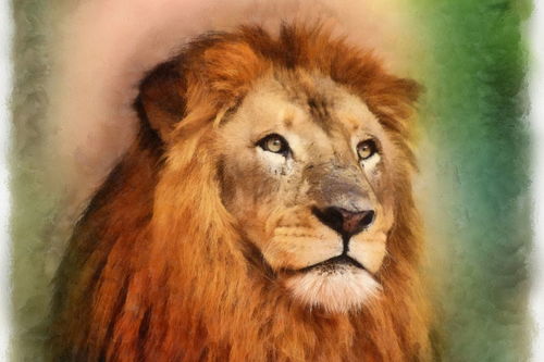 狮子男不爱了挽回,如何挽回不爱的狮子男