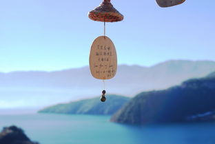 背叛后如何挽回白羊,挽回被背叛白羊座的方法