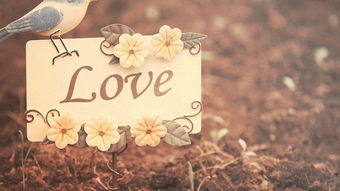 朋友圈挽回他,追回前任，从朋友圈开始