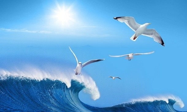 有效的感情挽回法术,有效疗愈心灵的感情挽回方法