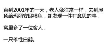 异地挽回前任的文案,失恋后如何挽回前任？