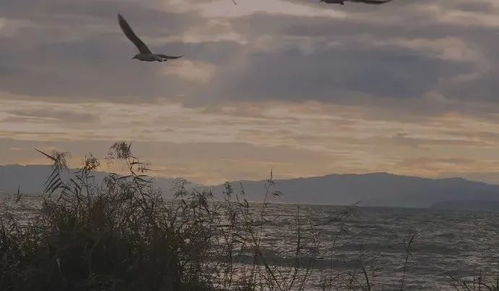 怎么挽回失望的媳妇,如何挽回失望的妻子