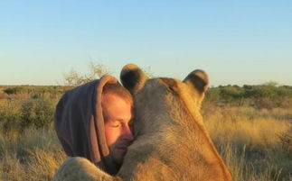 狮子男分手z挽回,如何挽回分手的狮子男