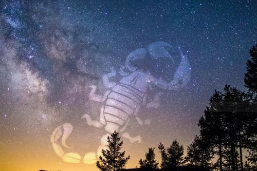 挽回天蝎渣女,如何挽救被天蝎废女伤害的心？