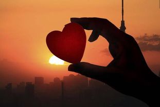 挽回离婚后的摩羯座,挽回离婚后的摩羯座成功经历