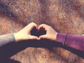 树洞情感挽回有效吗,树洞情感挽回真的有用吗？