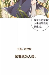 想挽回前任小作文,前任情感再续，你该怎么做？