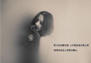 流泪不能挽回的句子,流泪已无法挽回的哀伤