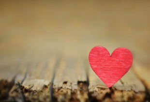 怎么做挽回老婆,成功挽回老婆的方法